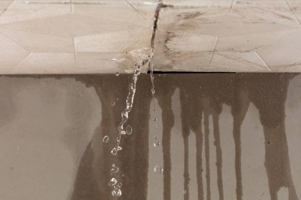 Professional Structural Drying technician working in Webster, WI